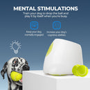 Maxi Automatic Ball Launcher For Dogs Interactive Thrower Large