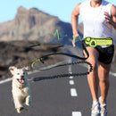 Hands Free Dog Lead Reflective Bungee Dog Lead For Running Dog Leash UK Dog Kennel & Run Accessories