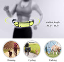 Hands Free Dog Lead Reflective Bungee Dog Lead For Running Dog Leash UK Dog Kennel & Run Accessories