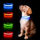 Led Light Dog Collar For Dogs, Light Up Collar for Dogs USB Rechargeable Animals & Pet Supplies