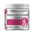 prenatal vitamins for dogs,
pregnancy vitamins for dogs