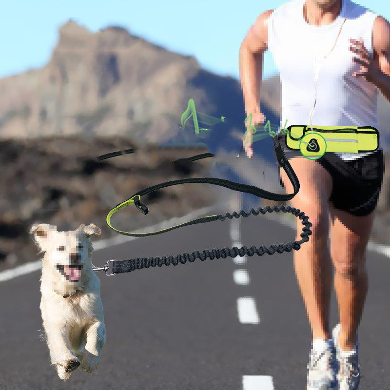Hand Free Dog Lead Reflective Bungee Dog Lead For Running Dog Leash UK