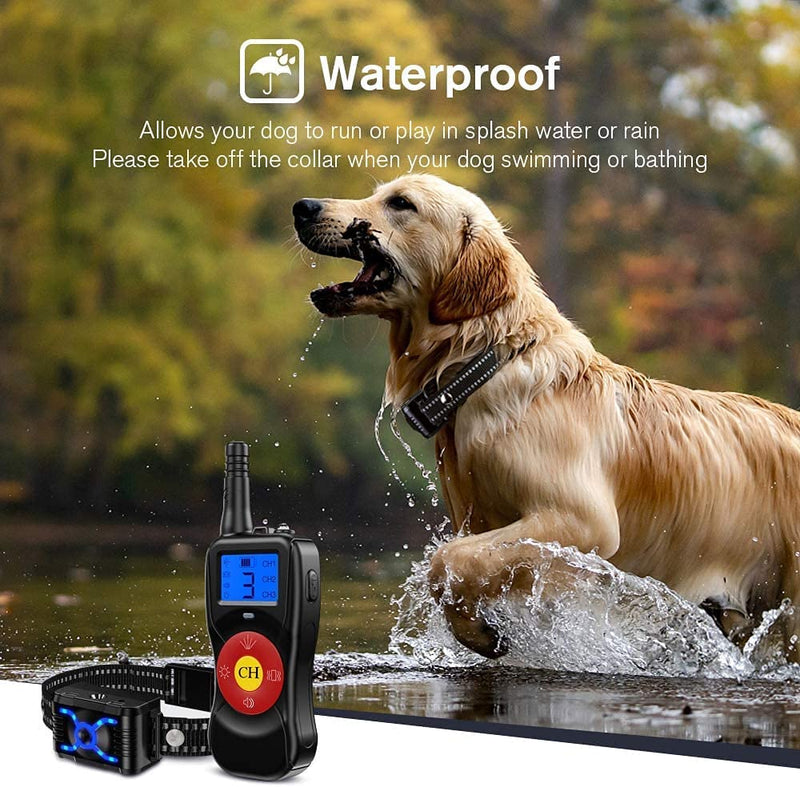 Waterproof dog collar