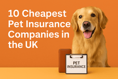 🐾 10 Cheapest Pet Insurance Companies in the UK