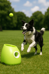 12 Best Ball Throwers for Dogs UK – Ultimate 2025 Review