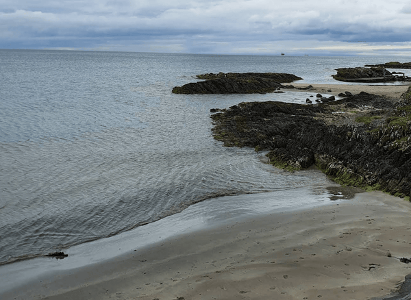 5 Best Dog Swimming Spots in Belfast: Where to Splash with Your Pup