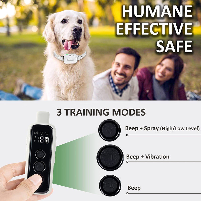 Comprehensive Guide to CalmShops Dog Training Collars: Effective Tools for Canine Training
