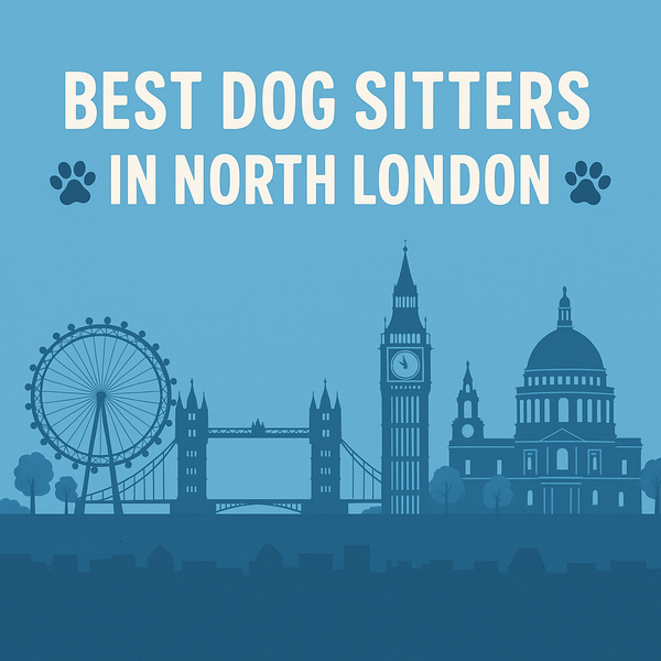 The 6 Best Dog Sitters in North London | Dog Sitting Near Me (Highgate, Hampstead, Finchley & Camden)