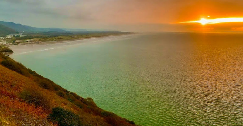 Best Dog Swimming Spots in Carmarthenshire: Top 5 Scenic Locations for Splashy Adventures with Your Pup