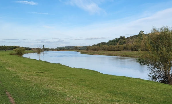 Best Dog Swimming Spots in Nottinghamshire: Top 5 Refreshing Locations for Your Water-Loving Pup