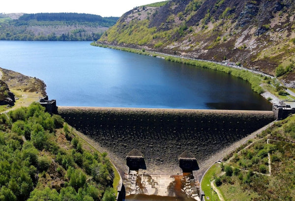 Best Dog Swimming Spots in Radnorshire: Top 5 Hidden Gems for Water-Loving Pups