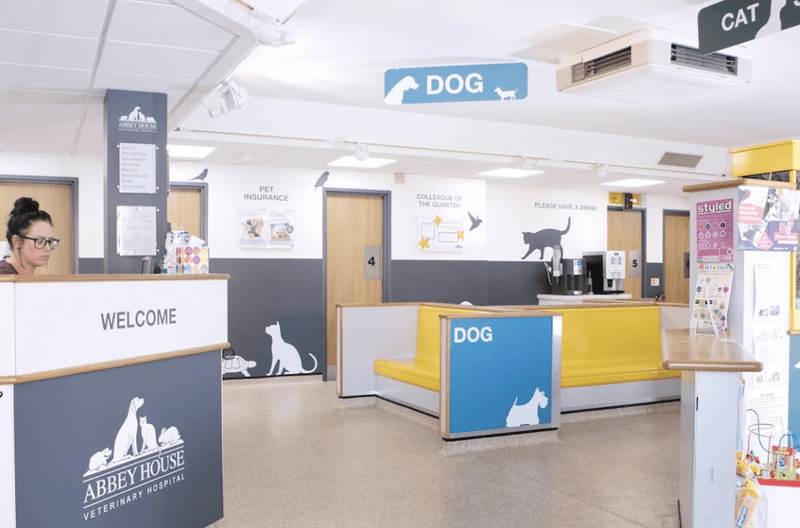 Best Vets in Yorkshire: Comprehensive Care for Your Pets