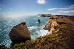 Top 5 Vets on the Isle of Wight — Trusted Local Practices