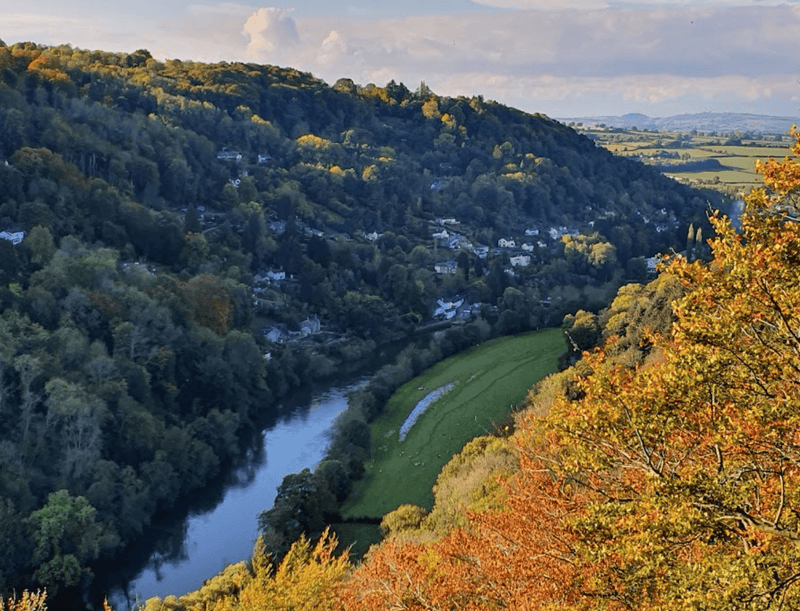 Dog Swimming Spots in Herefordshire: Top 5 Places for a Splash with Your Dog