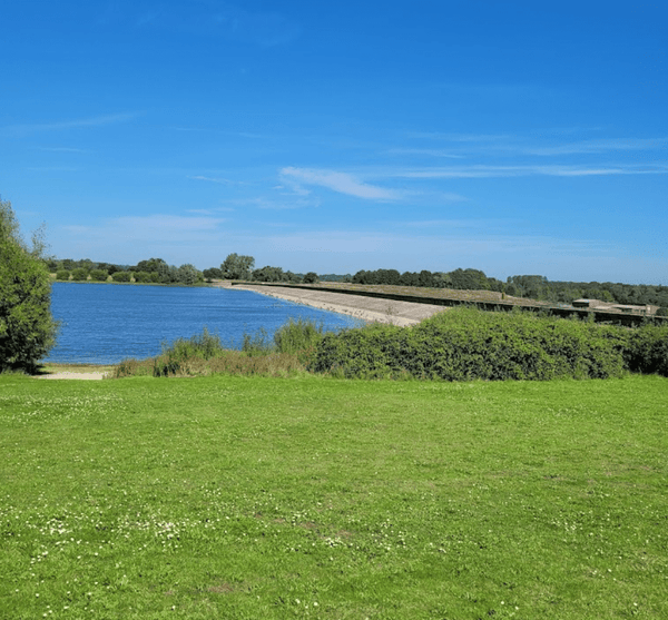 Dog Swimming Spots in Suffolk: Top 5 Places for a Splash with Your Dog