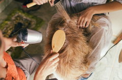 Dog Groomers in Bath: 5 Trusted Salons for a Fresh, Happy Pup