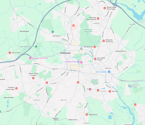 Best Rated Dog Sitters in Colchester