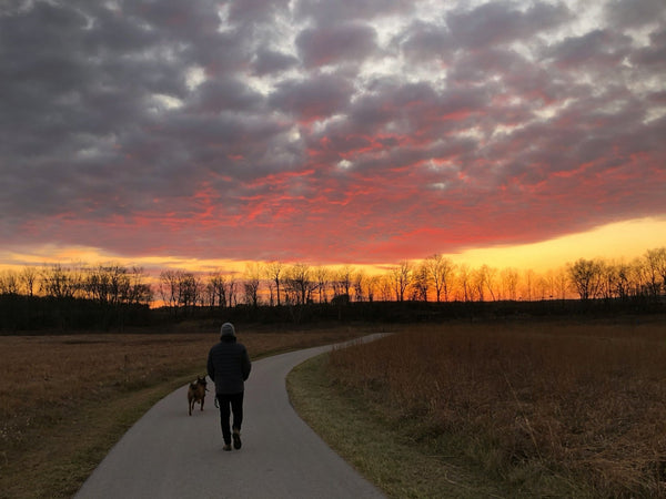🐕 How to Create a Habit of Walking Regularly With Your Dog: 10 Steps for a Healthier Life Together - Calmshops.co.uk