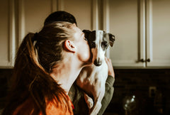 How to Know If Your Dog Loves You (and Yes—Does My Dog Love Me?)
