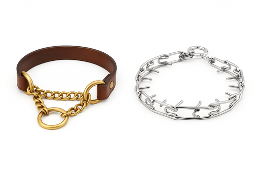 Are Martingale or Prong Collars Cruel?