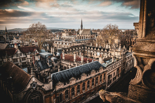 Dog Groomers Near Me in Oxford – Top 5 Grooming Salons