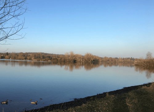 Splash & Walk: 20 Dog‑Friendly Lakes Near Me (UK Guide)