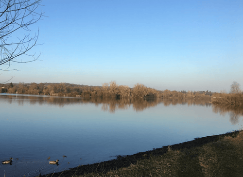 Splash & Walk: 20 Dog‑Friendly Lakes Near Me (UK Guide)