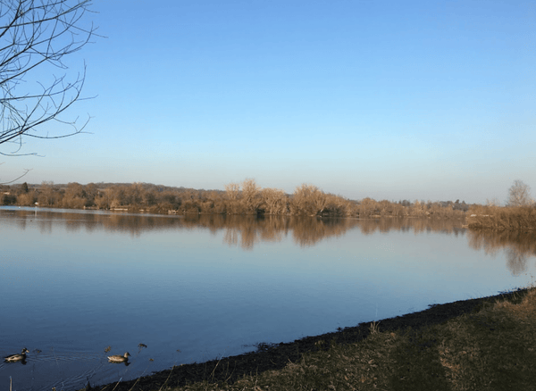 Splash & Walk: 20 Dog‑Friendly Lakes Near Me (UK Guide)