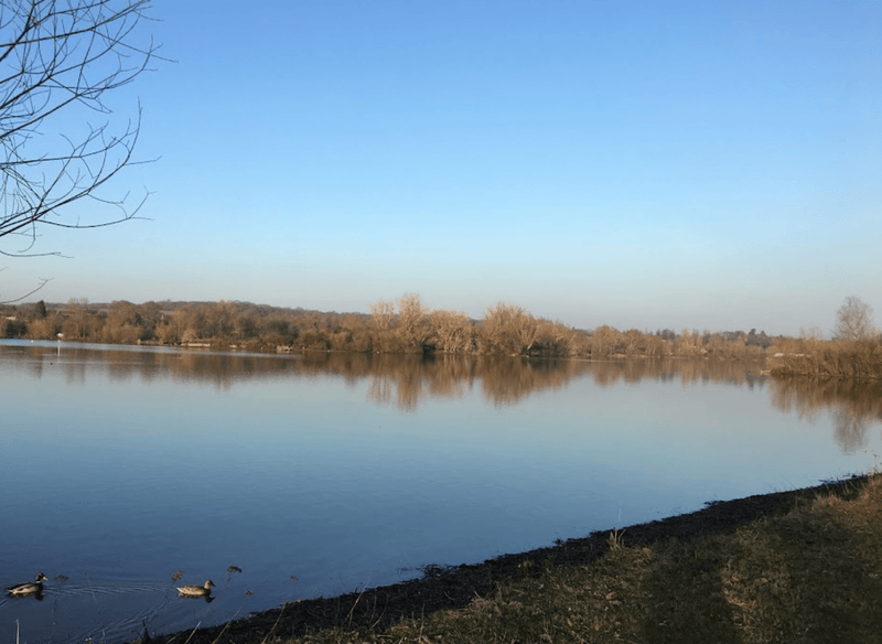 Splash & Walk: 20 Dog‑Friendly Lakes Near Me (UK Guide)
