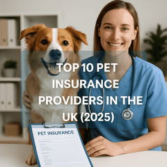 🐾 Top 10 Pet Insurance Providers in the UK for 2025