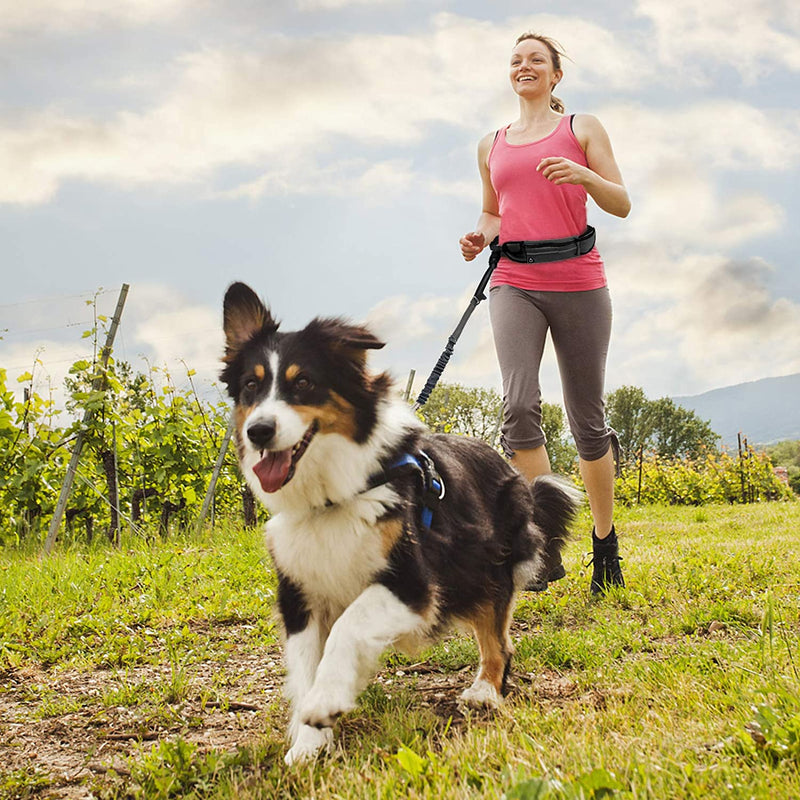 🐕🦺 Ultimate Guide to Long Dog Leads & No‑Pull Dog Harnesses