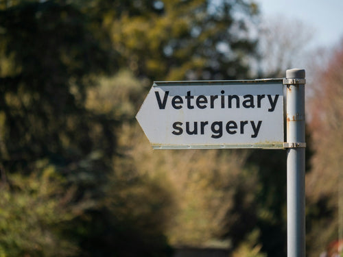 veterinary surgery poster