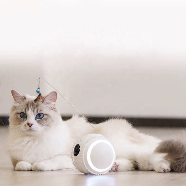 What Is the Best Pet Camera? Top Cat Cameras & Interactive Cat Toys Reviewed