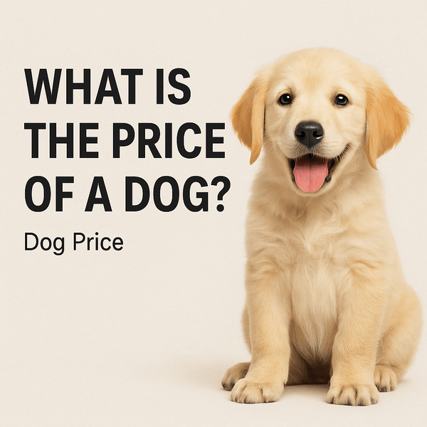 What is the Price of a Dog? Complete UK Puppy Cost Guide