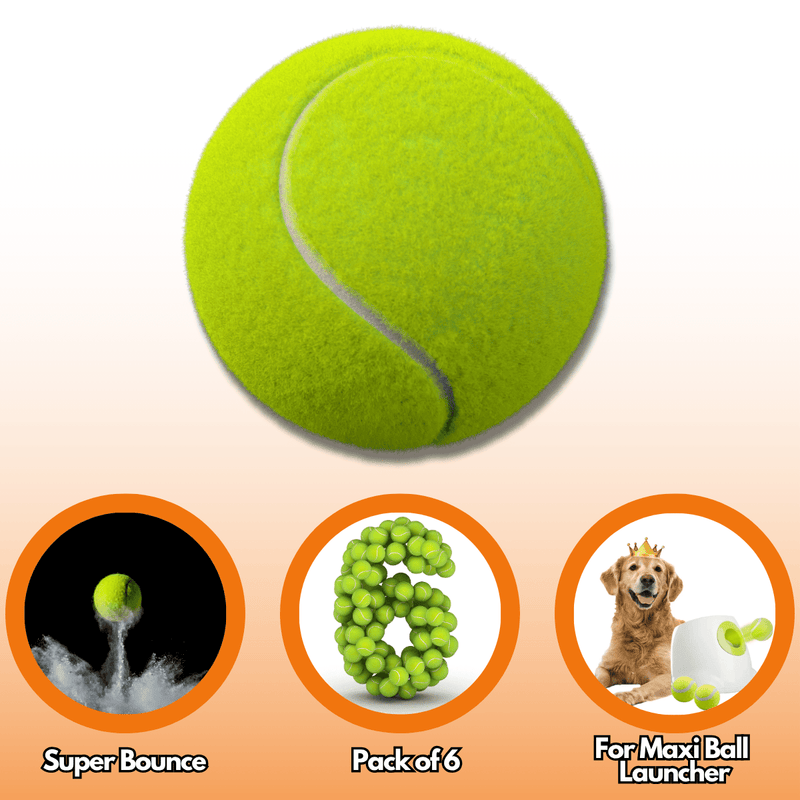 2.5 - Inch Tennis Balls for Dogs – 6 - Pack | Compatible with Maxi Automatic Ball Launcher | Ideal for Large Breeds (6.5cm Diameter) - Calmshops.co.uk
