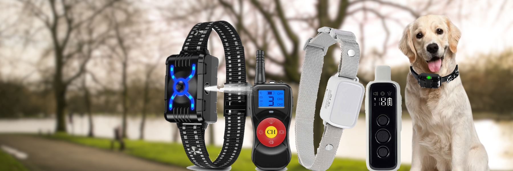 CalmShops: No-Shock Dog Training Collars, Anti-Bark Gear & Vitamins