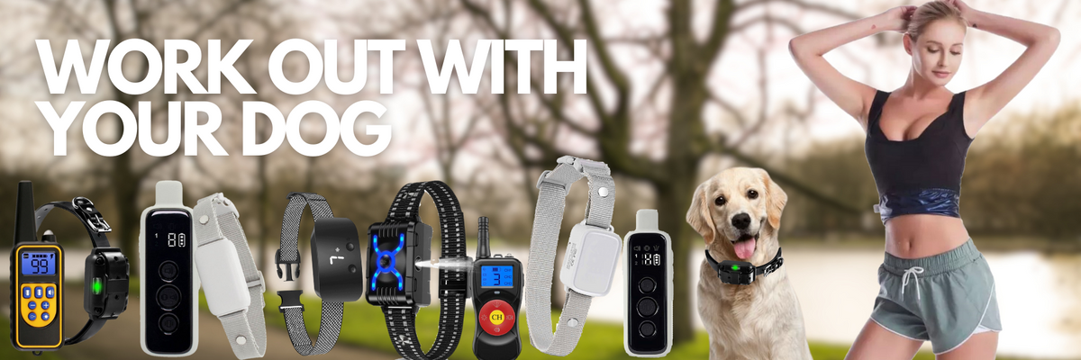 Electric dog 2025 collars for sale