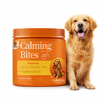 Calmdogs Calming Bites jar of turkey-flavour soft chews next to a golden retriever