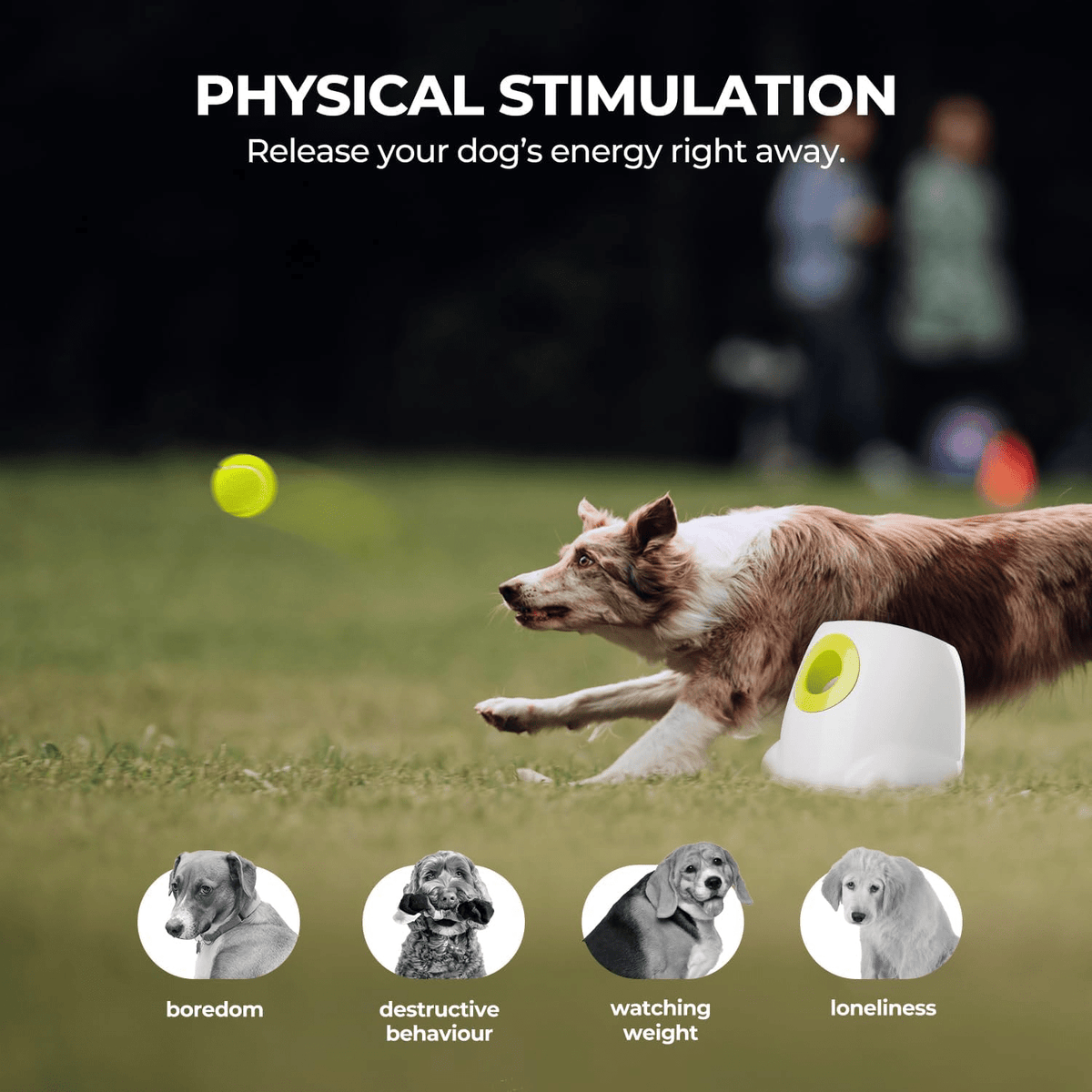 Automatic Ball Launcher For Dogs Best USB Rechargeable Automatic