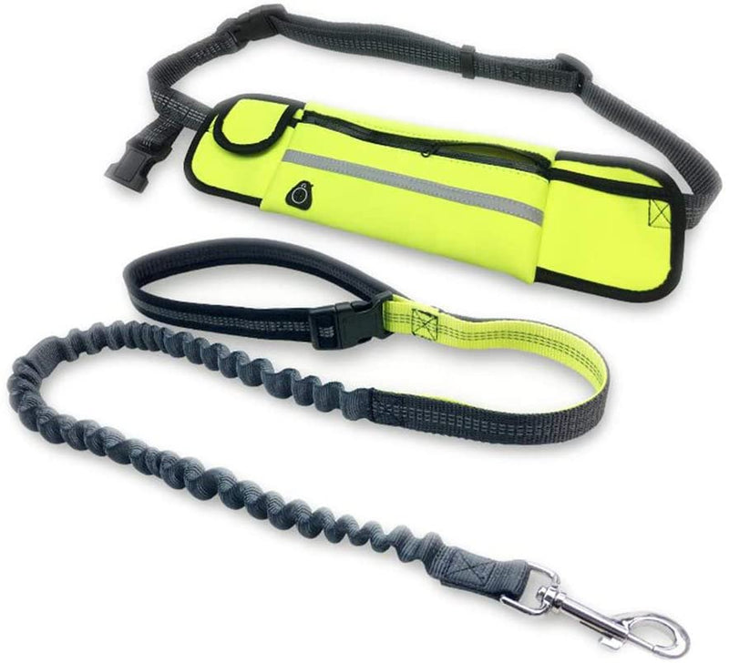 Hand Free Dog Lead Reflective Bungee Dog Lead Running Leash