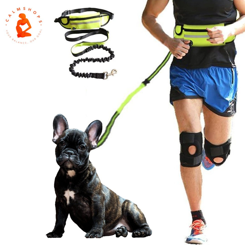 Hand Free Dog Lead Reflective Bungee Dog Lead Running Leash