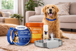 Dog wearing the Ultimate Calming Bundle collar in a lifestyle setting