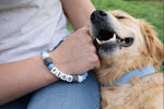 Personalised Dog Name Bracelet – Custom Silicone Bead Bracelet for Dog Lovers Teether
